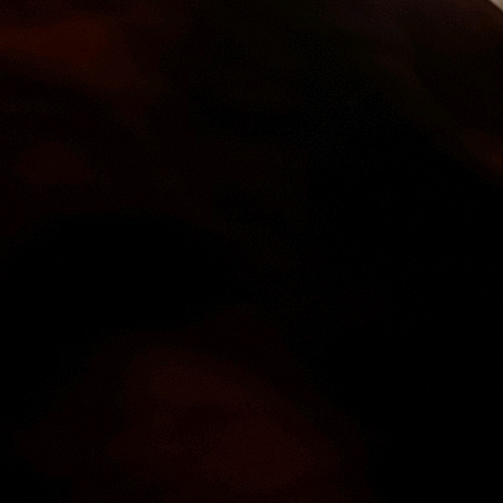 Meet your Posher, Toyri